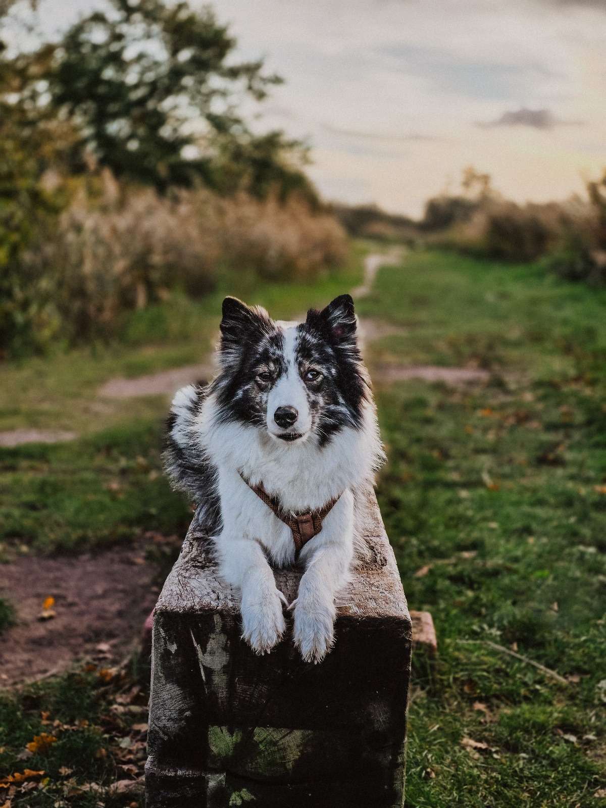 Urlaub & drei Tage Campingplatz Impressionen 26 1000000836