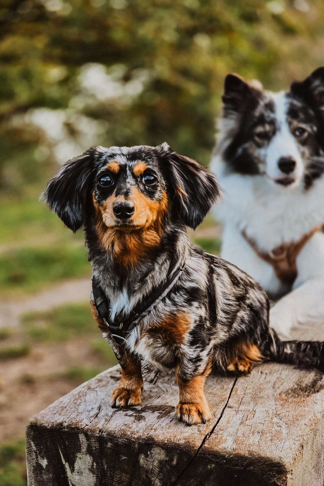 Urlaub & drei Tage Campingplatz Impressionen 24 1000000838