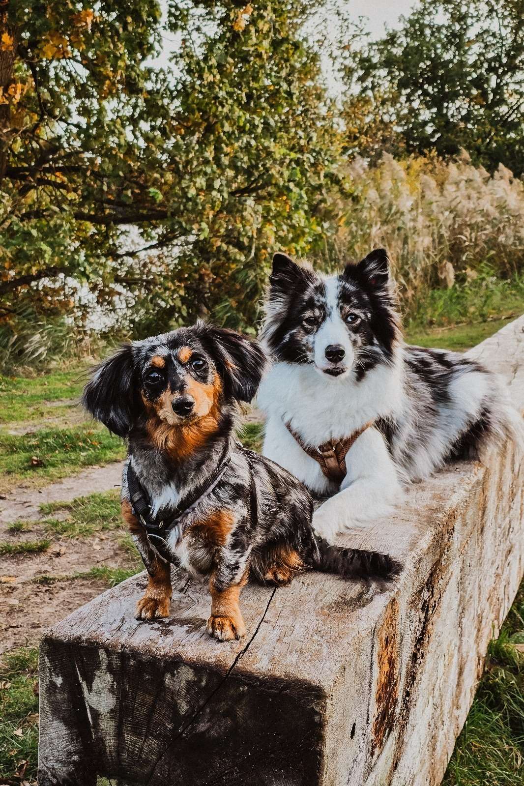 Urlaub & drei Tage Campingplatz Impressionen 27 1000000839