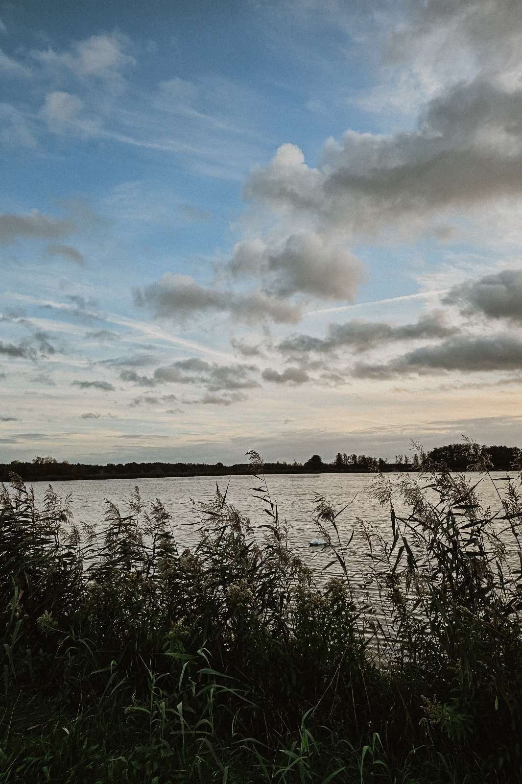 Urlaub & drei Tage Campingplatz Impressionen 17 1000000850