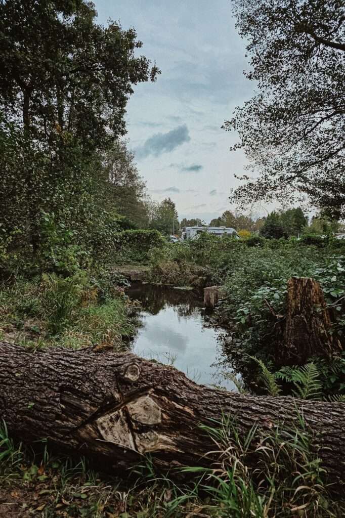 Urlaub & drei Tage Campingplatz Impressionen 15 1000000852