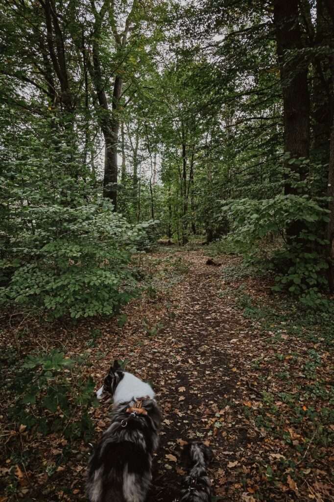 Urlaub & drei Tage Campingplatz Impressionen 13 1000000854