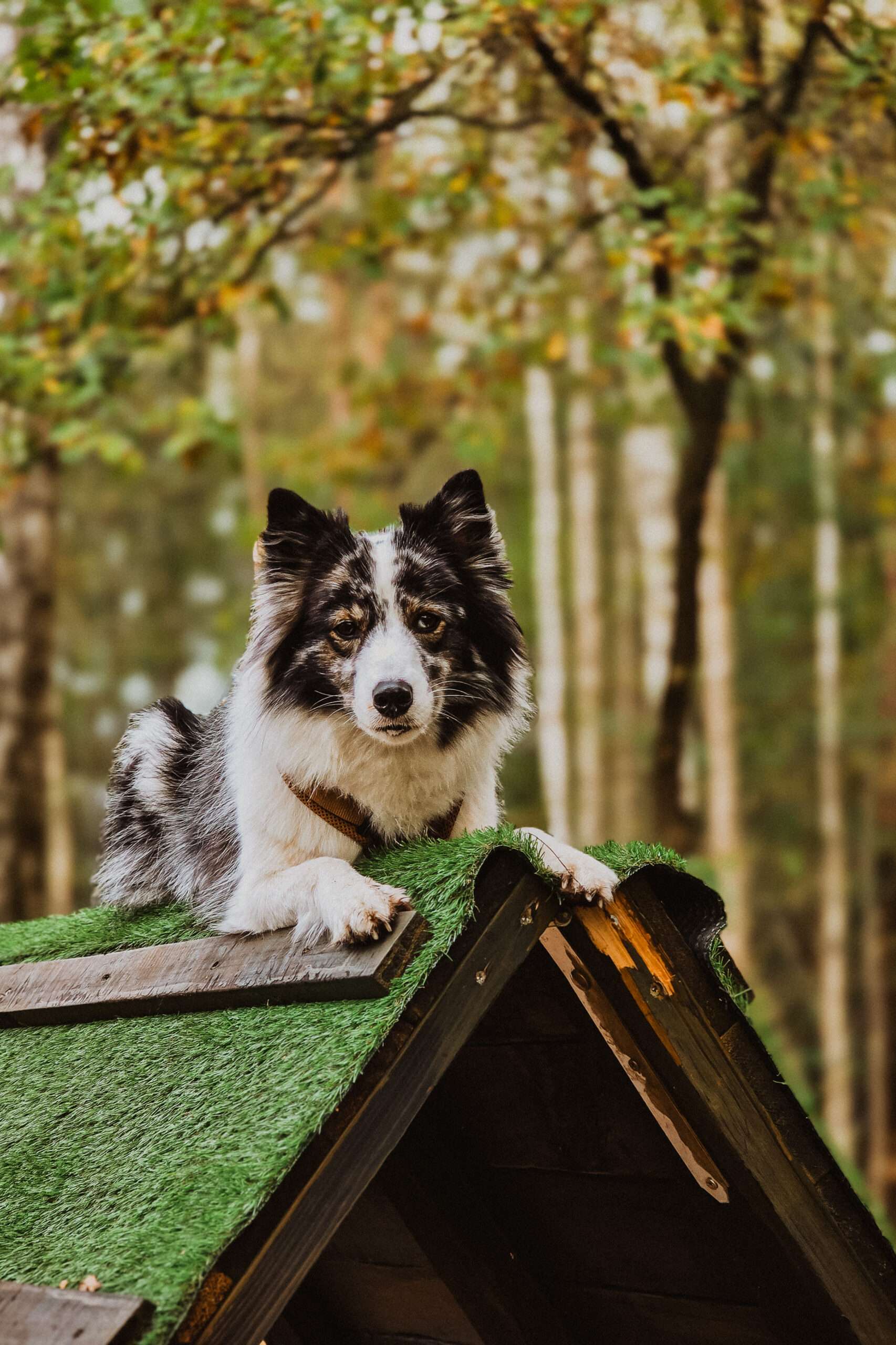 Urlaub & drei Tage Campingplatz Impressionen 34 1000000861 scaled