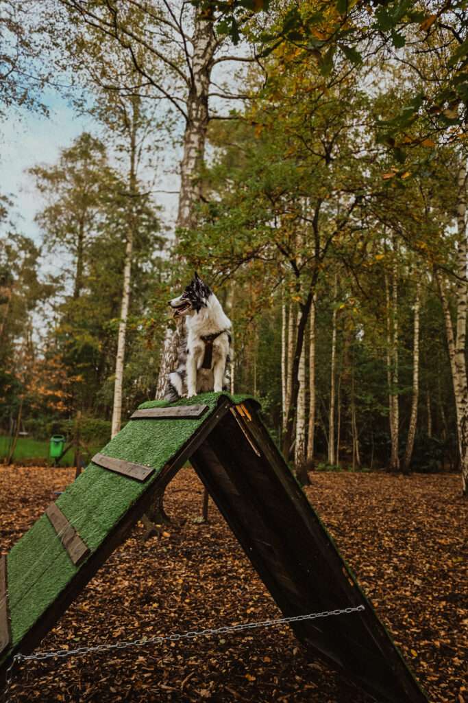 Urlaub & drei Tage Campingplatz Impressionen 32 1000000862 1