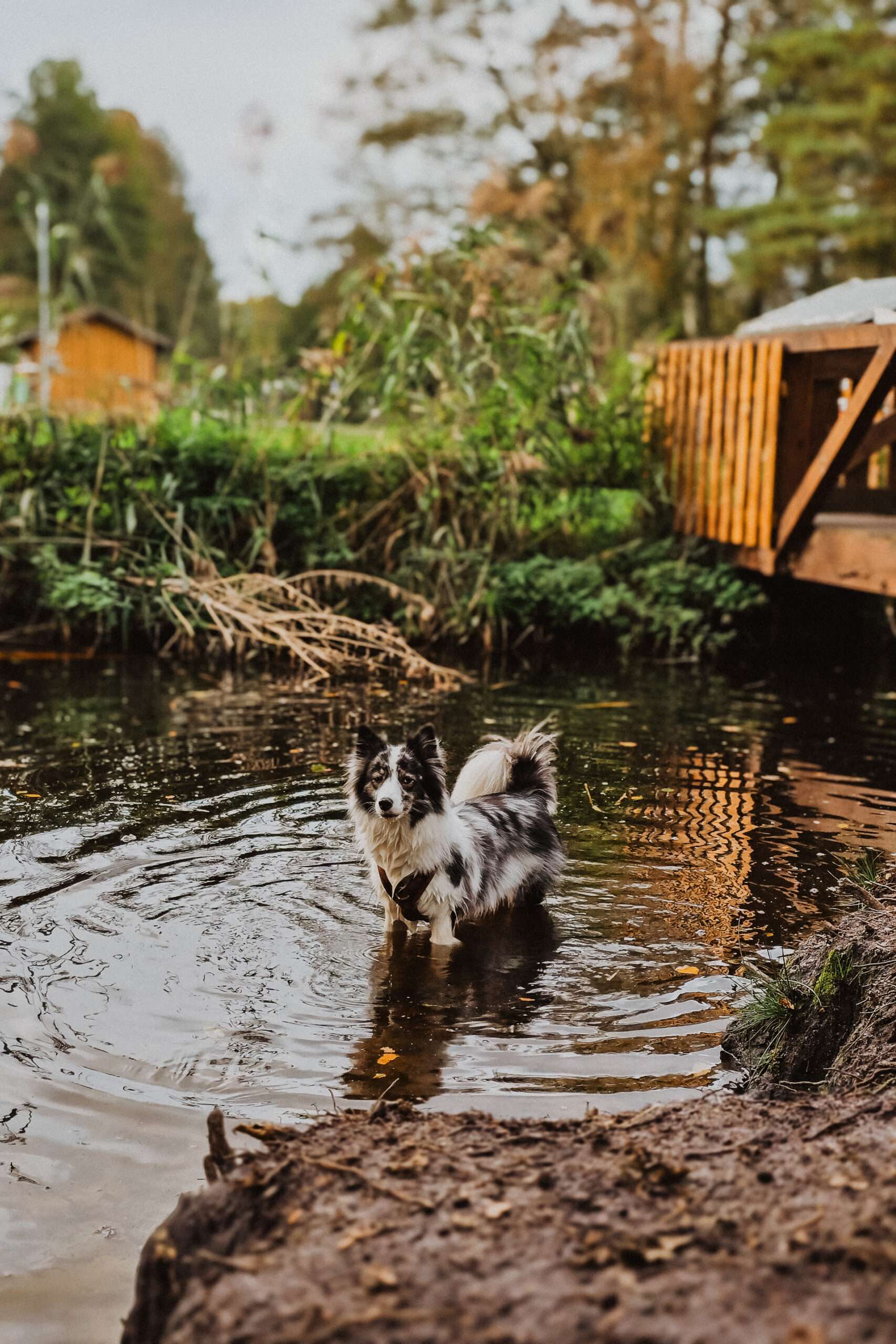 Urlaub & drei Tage Campingplatz Impressionen 33 1000000863 scaled