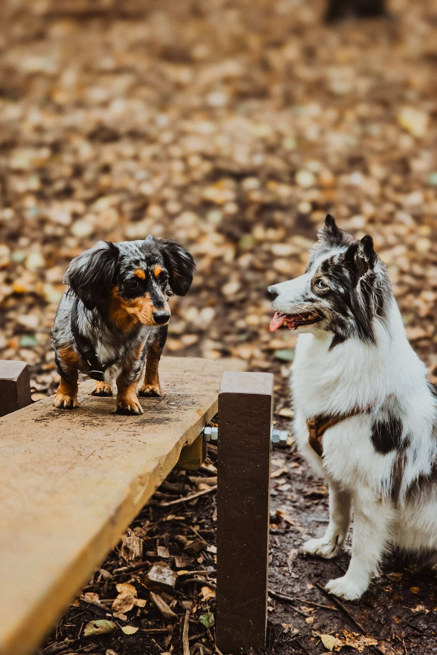 Urlaub & drei Tage Campingplatz Impressionen 31 1000000864 scaled