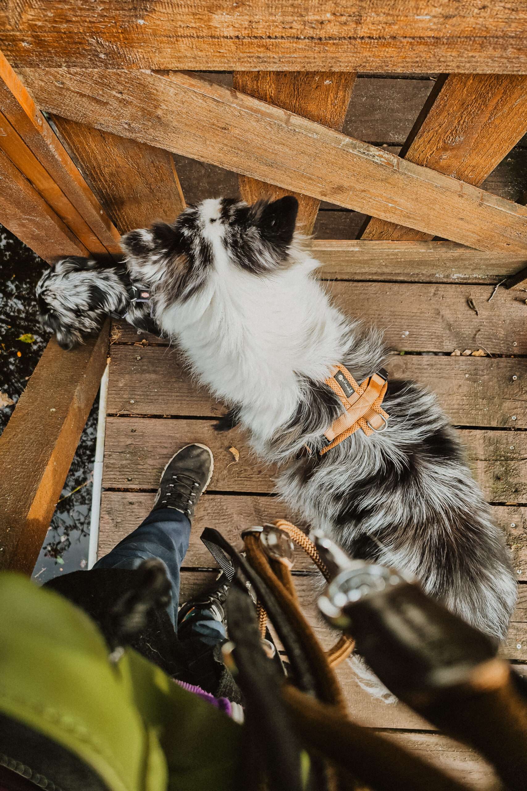 Urlaub & drei Tage Campingplatz Impressionen 29 1000000866 scaled