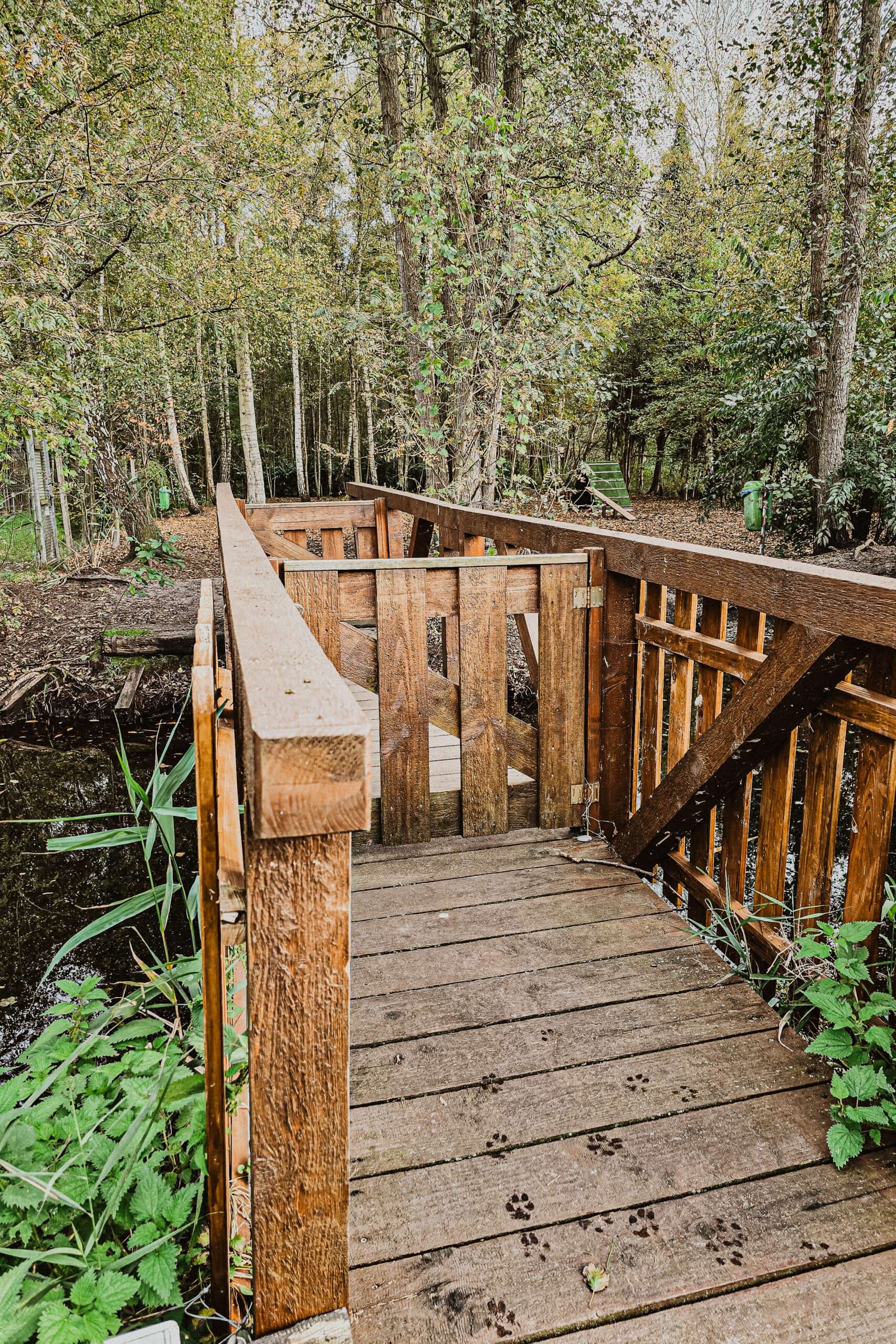 Urlaub & drei Tage Campingplatz Impressionen 28 1000000867 1 scaled