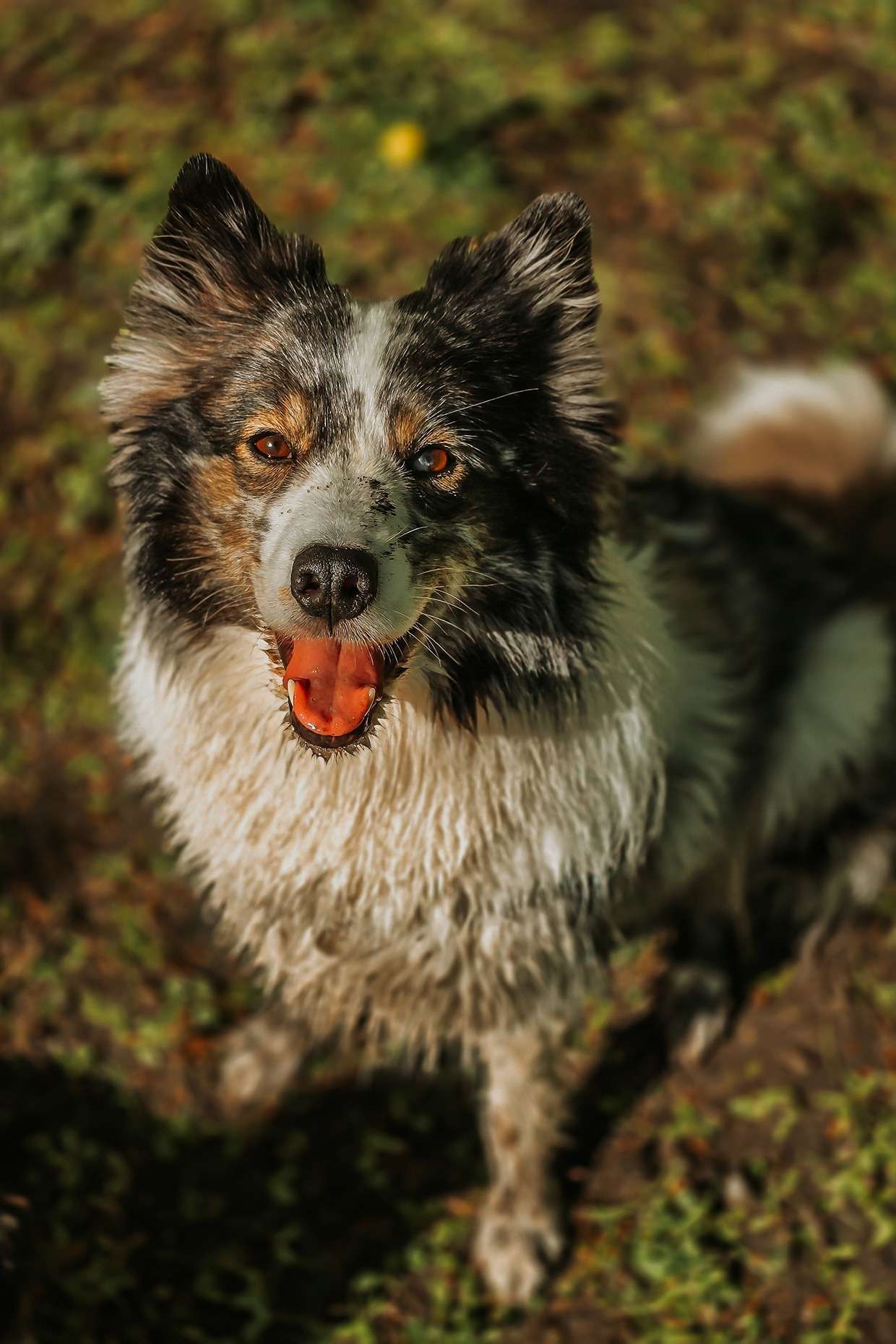 Ein Tag im Mai 8 20240428 103325