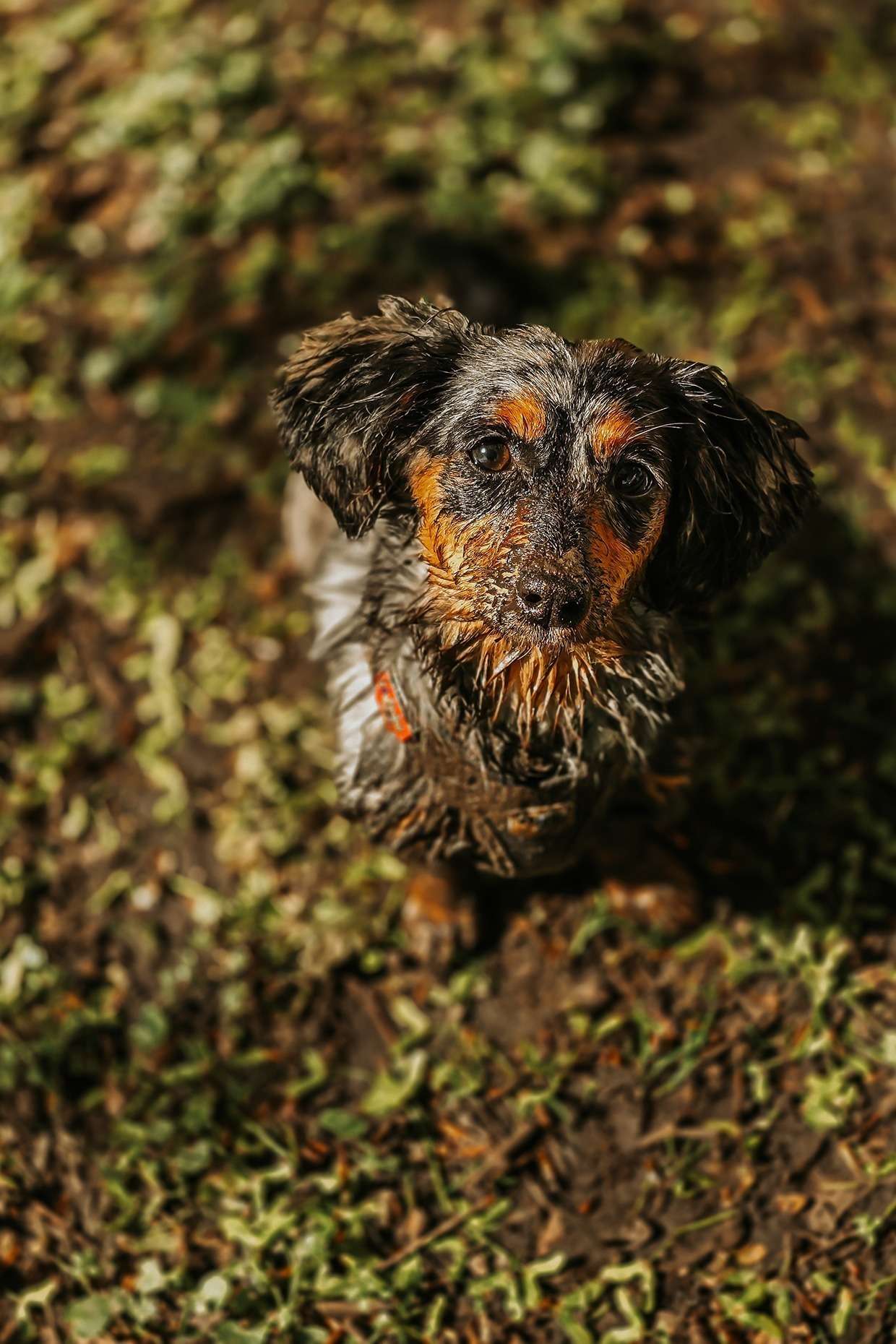 Ein Tag im Mai 9 20240428 103329