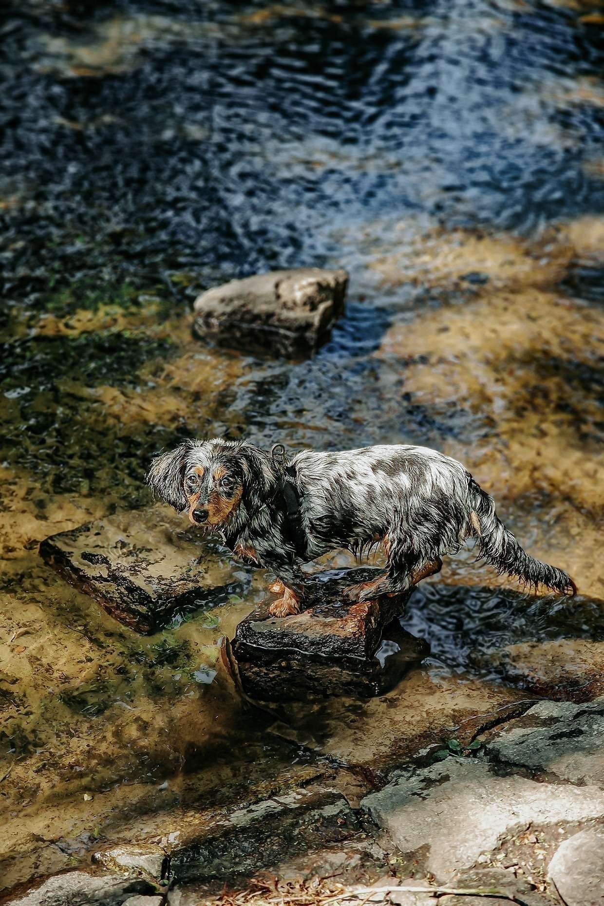 Ein Tag im Mai 5 20240508 110725