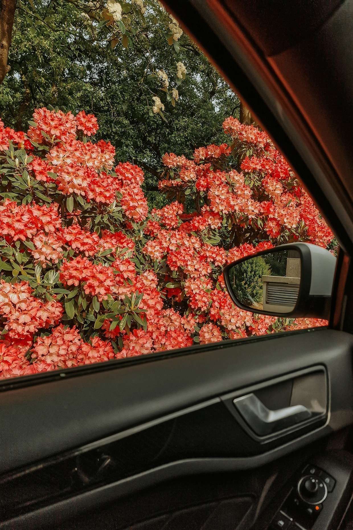 Ein Tag im Mai 12 20240510 174422