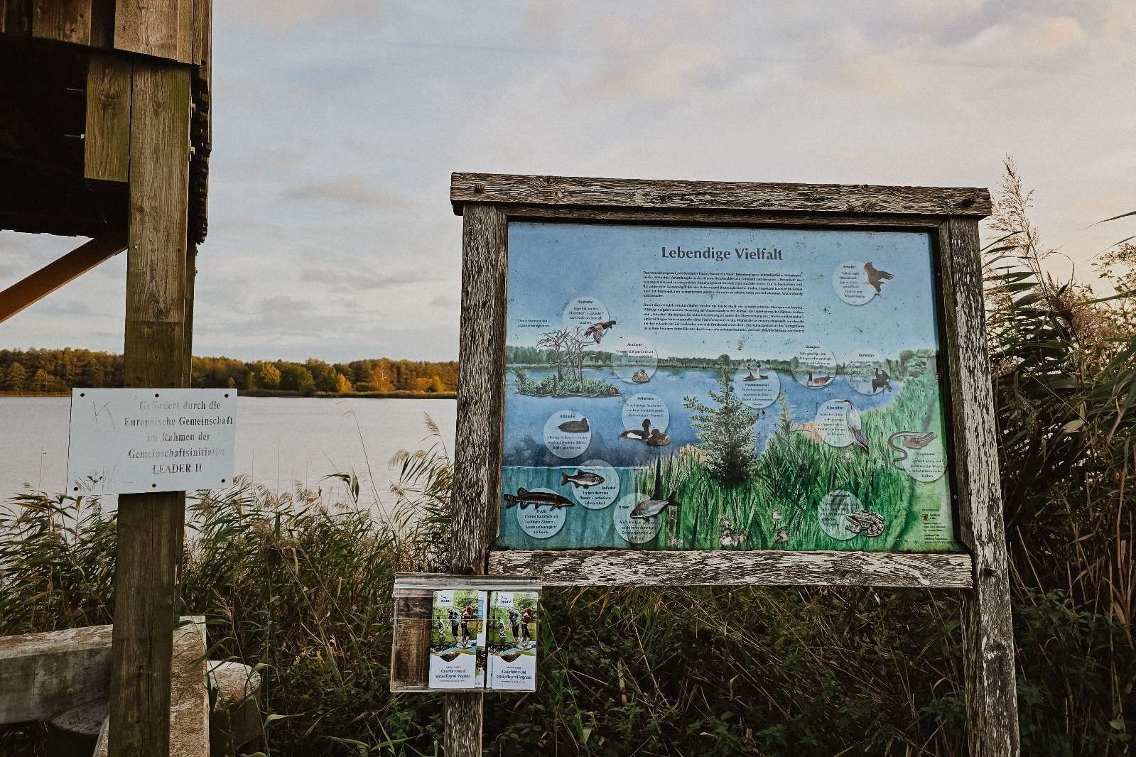 Urlaub & drei Tage Campingplatz Impressionen 23 20241013 174206 1