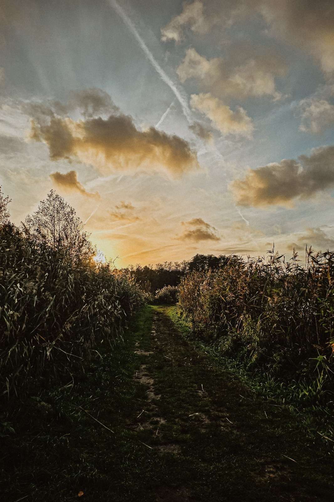 Urlaub & drei Tage Campingplatz Impressionen 19 20241013 174238