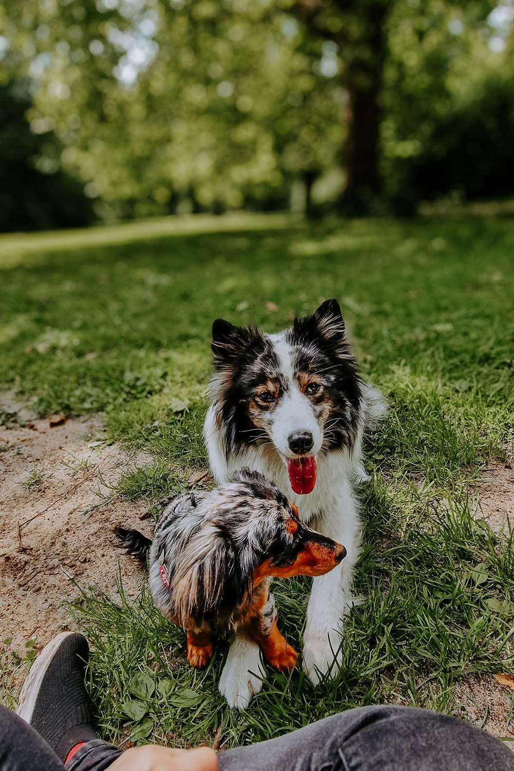 Ein Tag im Mai 15 VideoCapture 20240526 120509 2