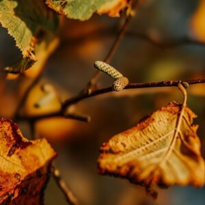 IMG 5617 e1733072464682