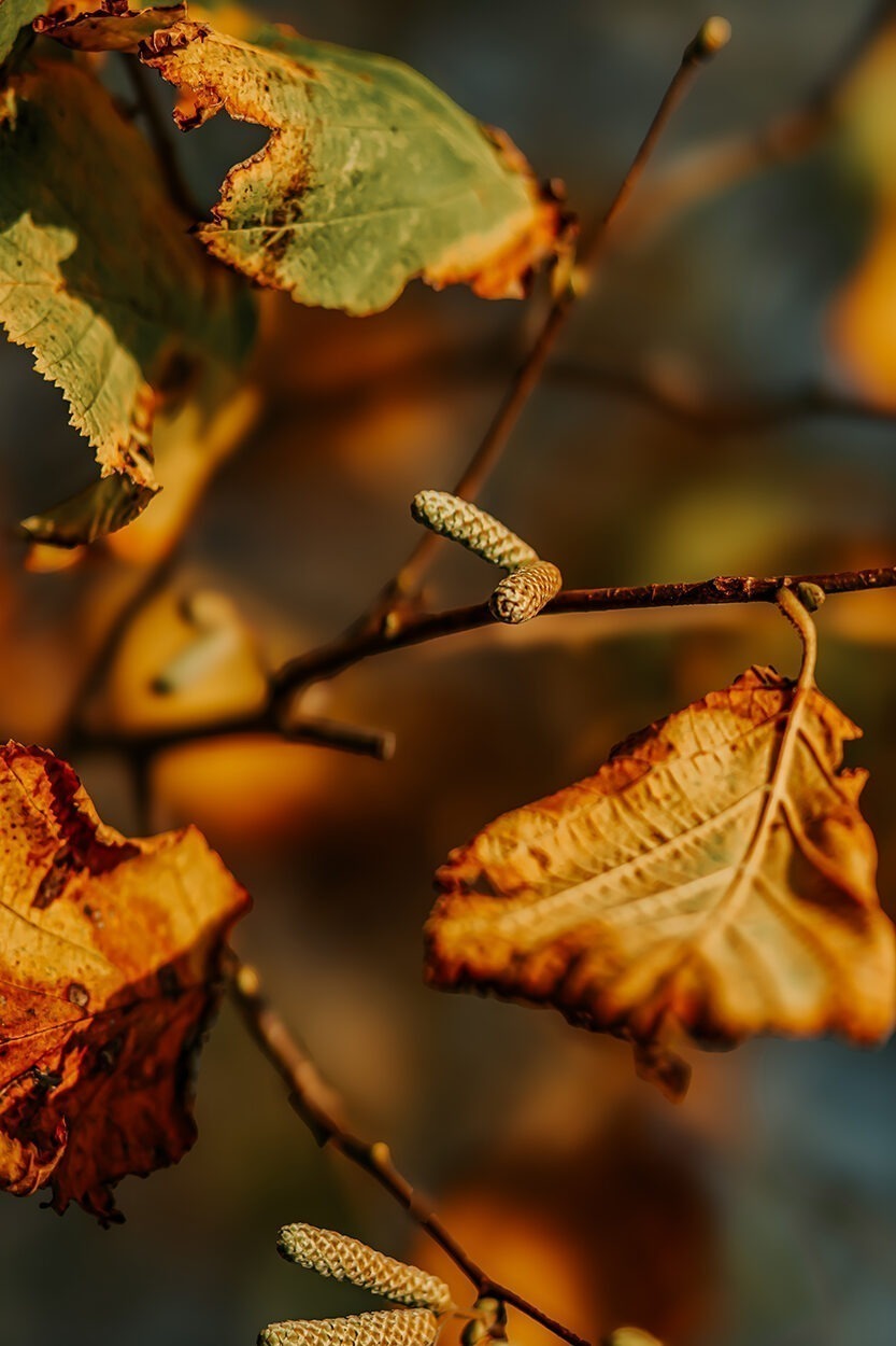 IMG 5617 e1733072464682