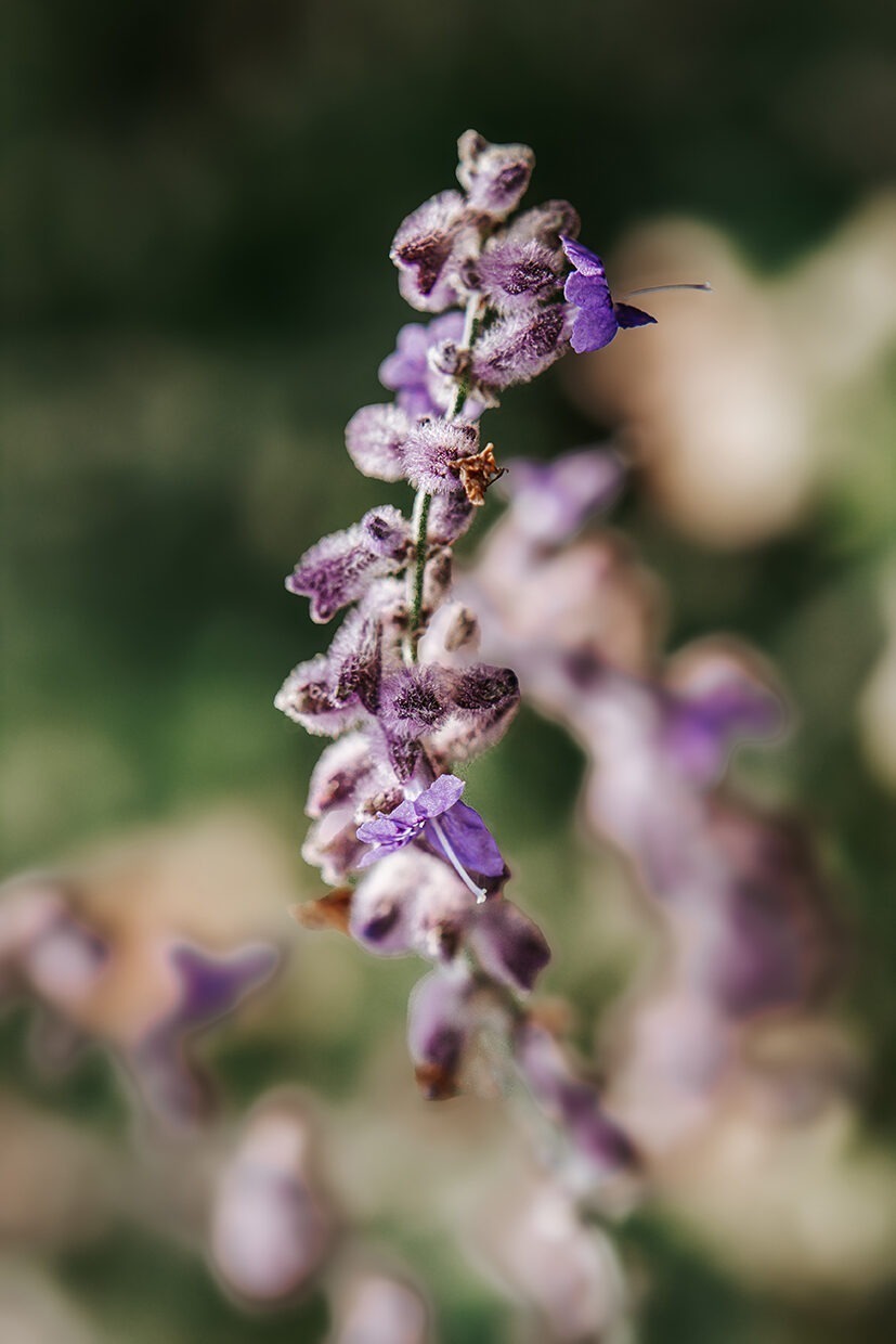 IMG 9047 e1733074720849