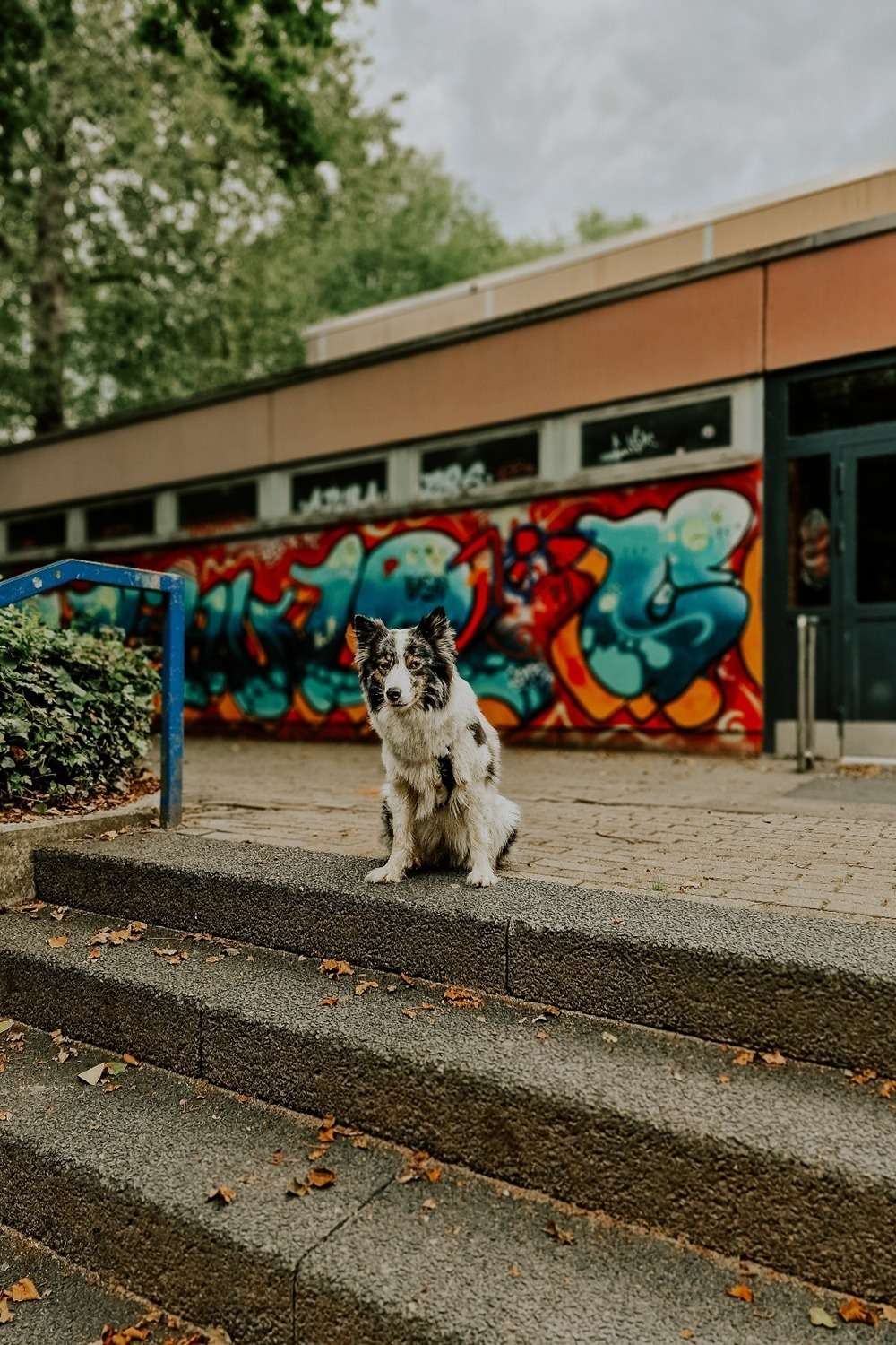 20230724 graffiti hintergrund 1