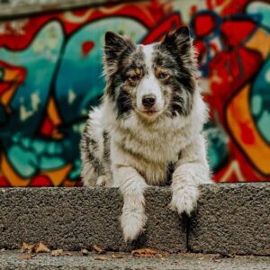 20230724 graffiti hintergrund 2