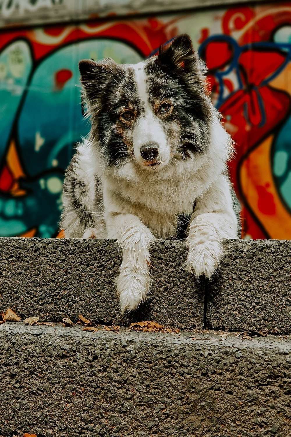 20230724 graffiti hintergrund 4