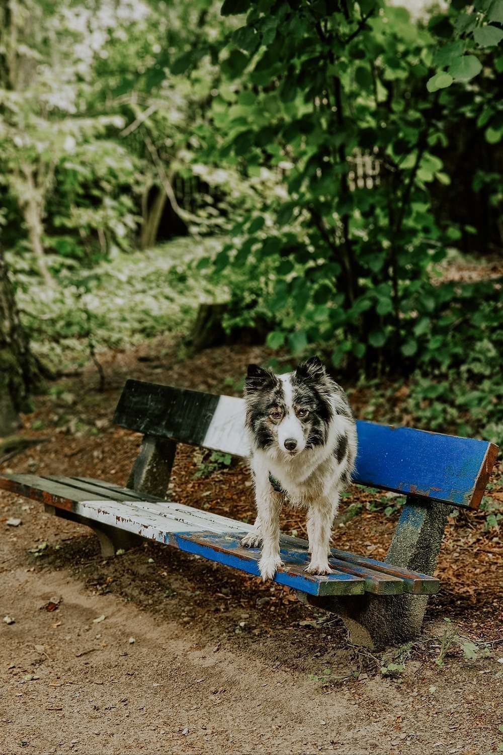 20230724 hsv parkbank 5