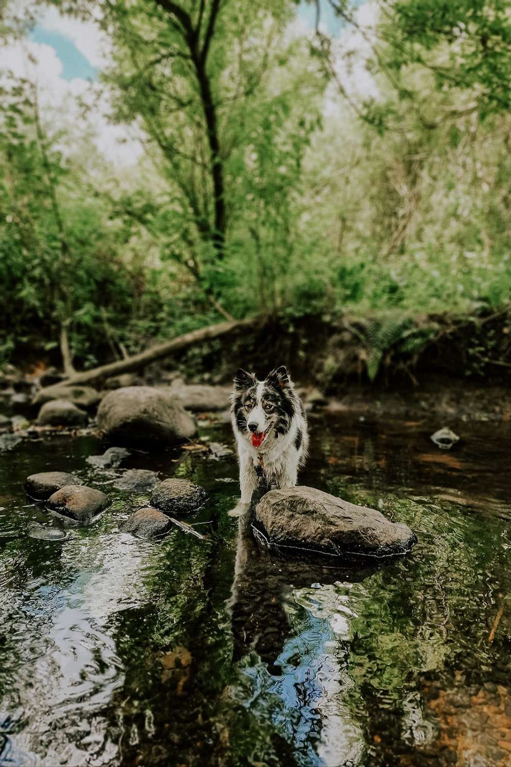 20230724 portrait bach 6