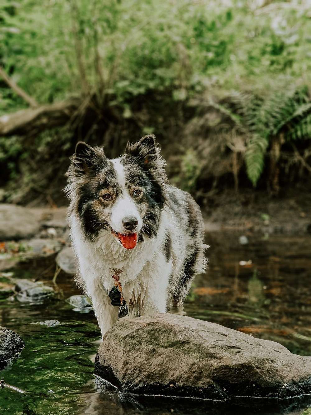 20230724 portrait bach 7