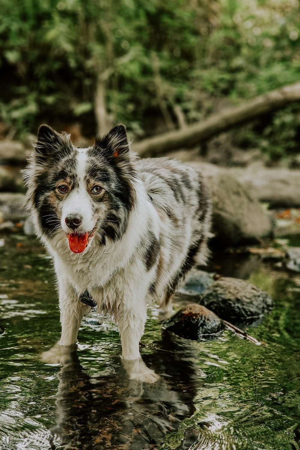 20230724 portrait bach 8