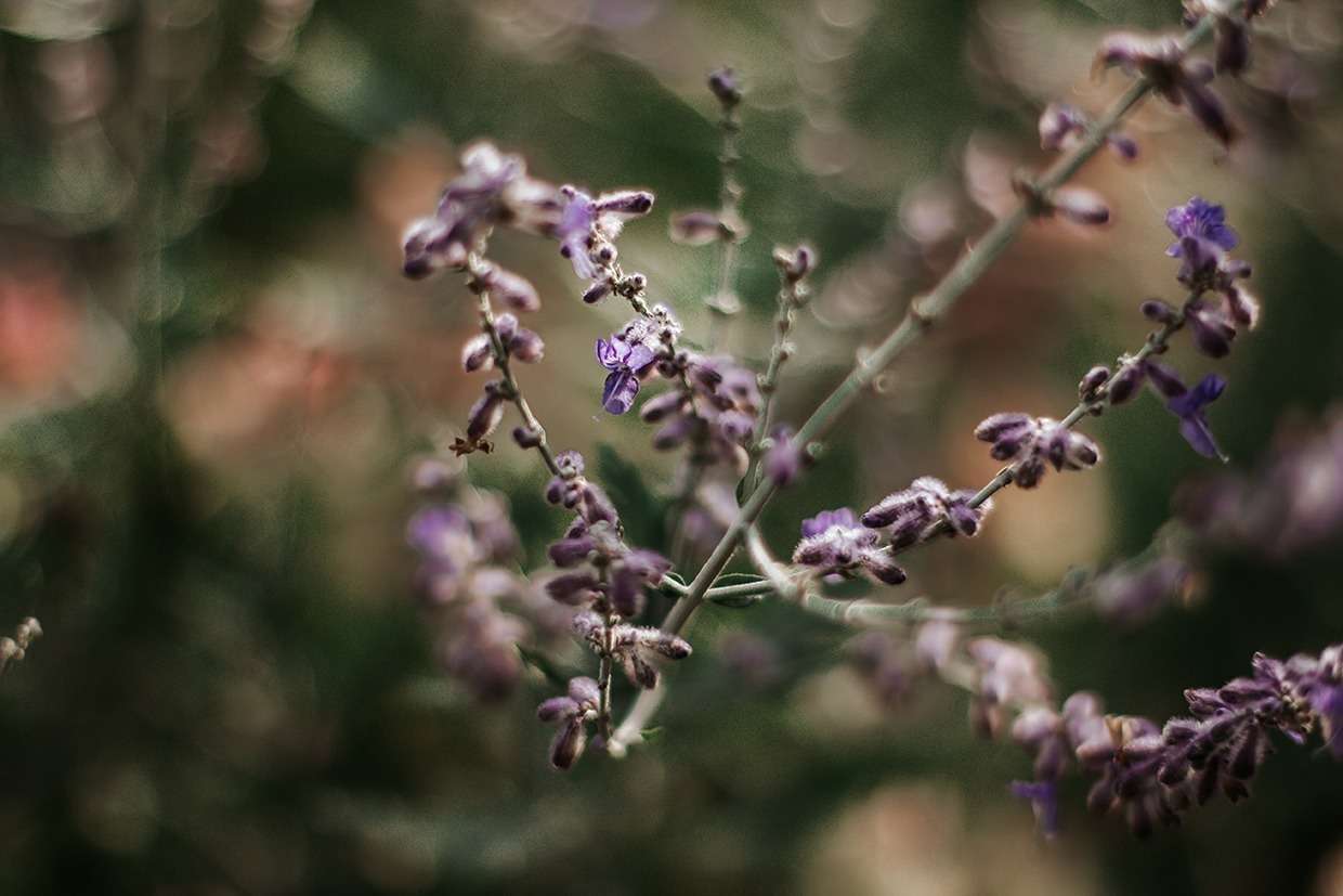 Impressionen aus vergangenen Zeiten 11 IMG 9046