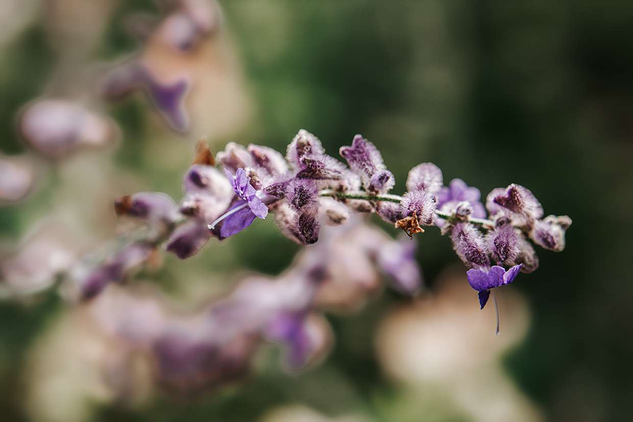Impressionen aus vergangenen Zeiten 9 IMG 9047