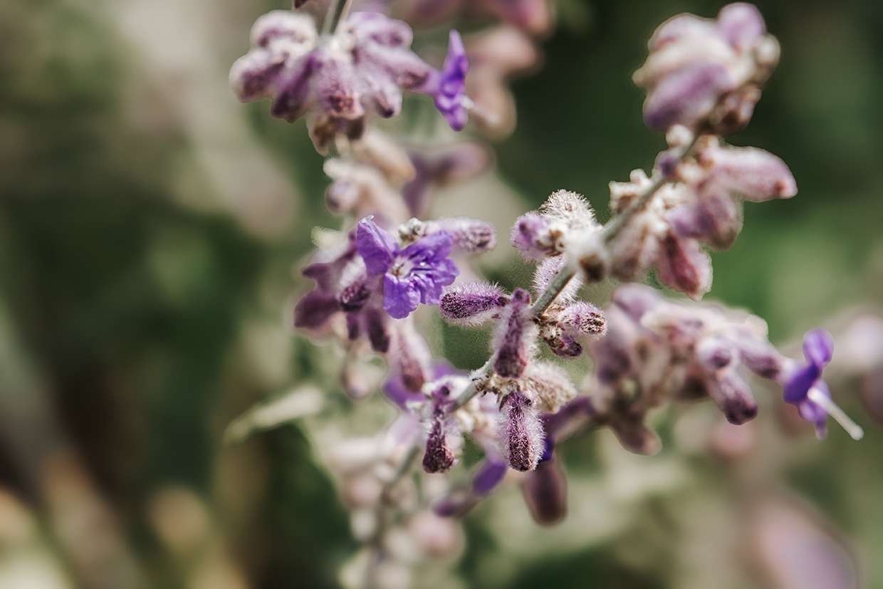 Impressionen aus vergangenen Zeiten 8 IMG 9051