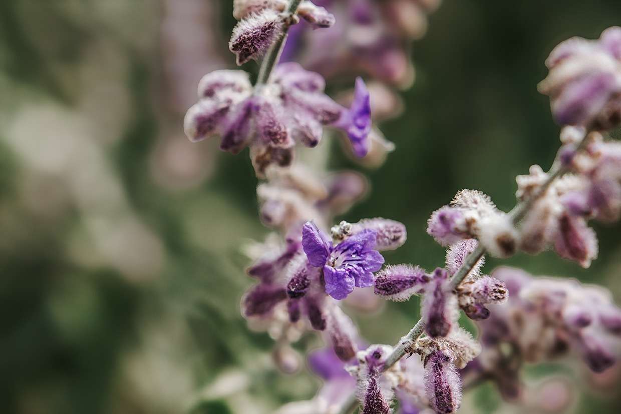 Impressionen aus vergangenen Zeiten 13 IMG 9052