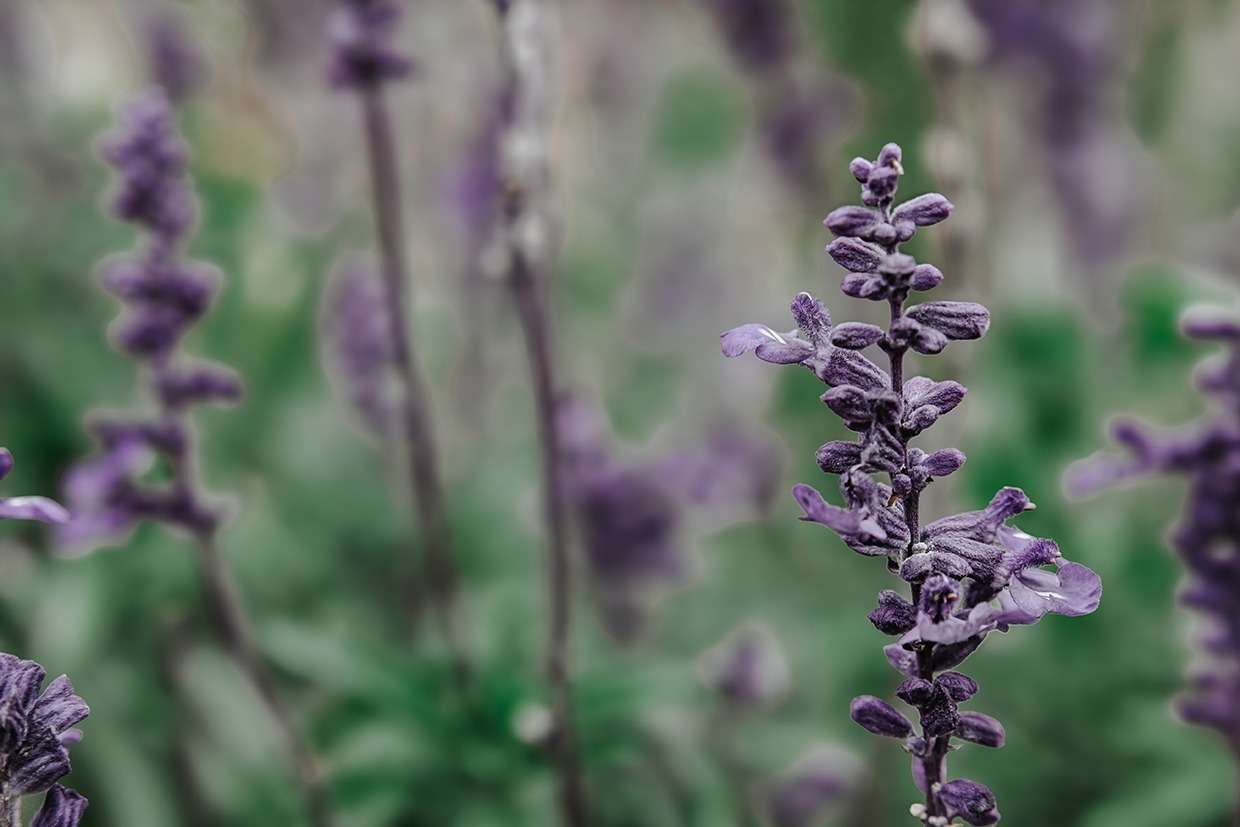 Impressionen aus vergangenen Zeiten 6 IMG 9061