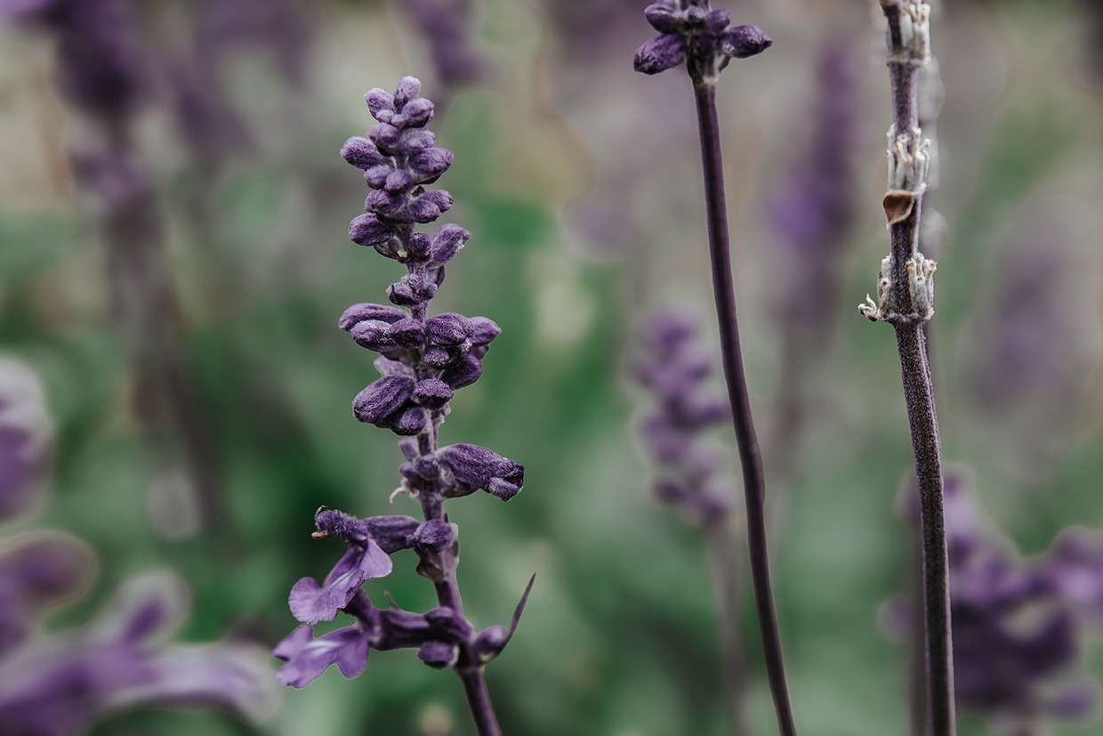 Impressionen aus vergangenen Zeiten 5 IMG 9062