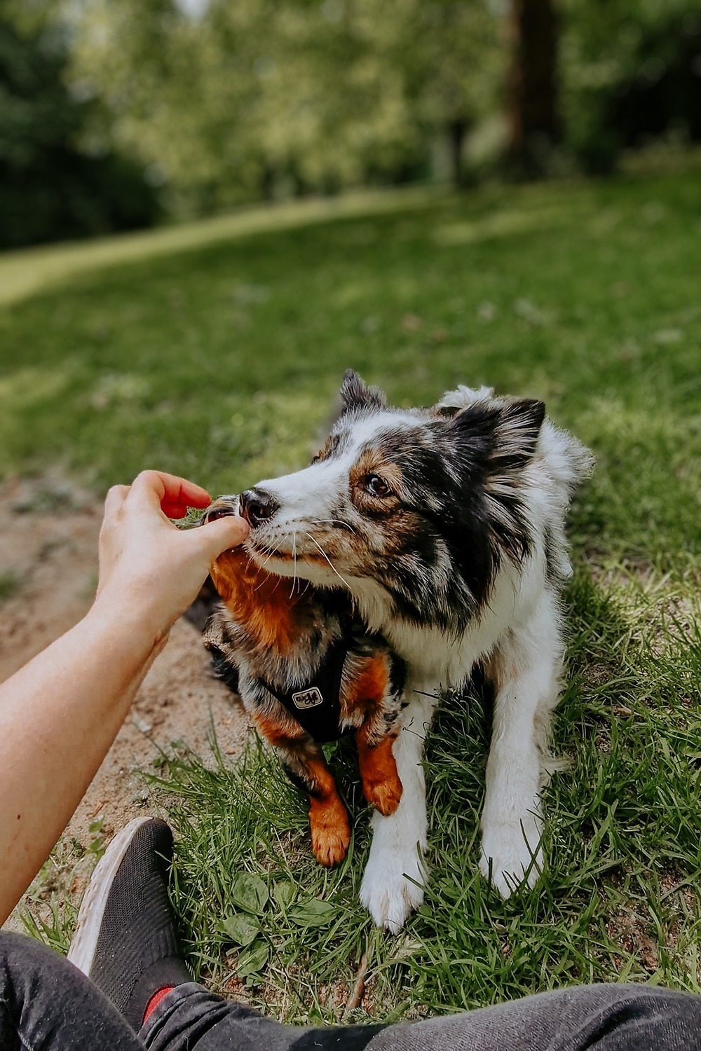 VideoCapture 20240526 120459 3 2