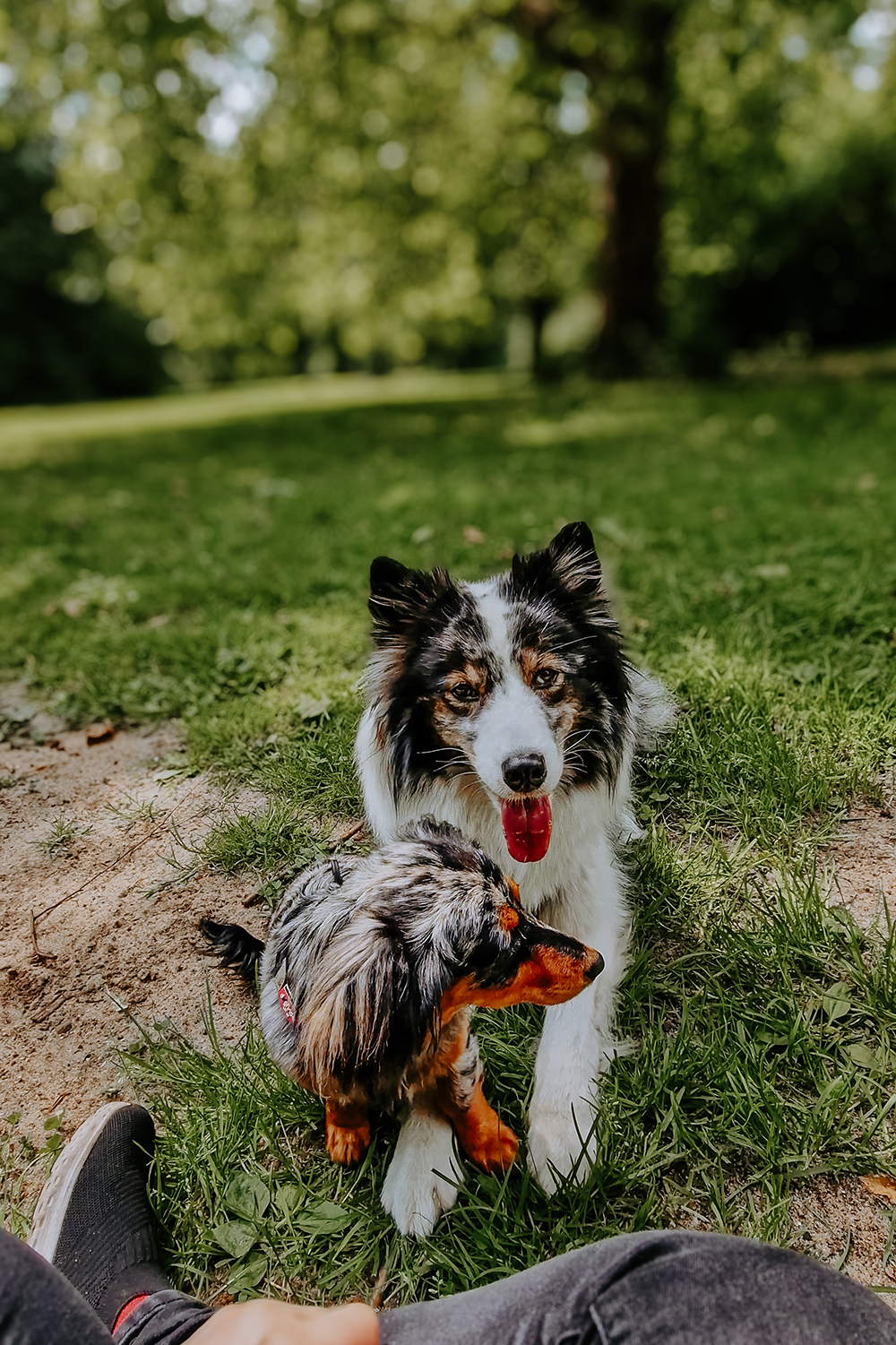 VideoCapture 20240526 120509 2