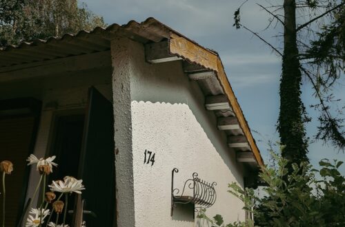 schrebergarten gartenlaube e1741897254190