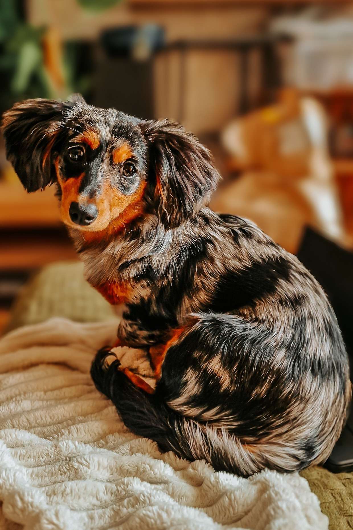 Happy gotcha day✨ – 365 Tage Pepsi