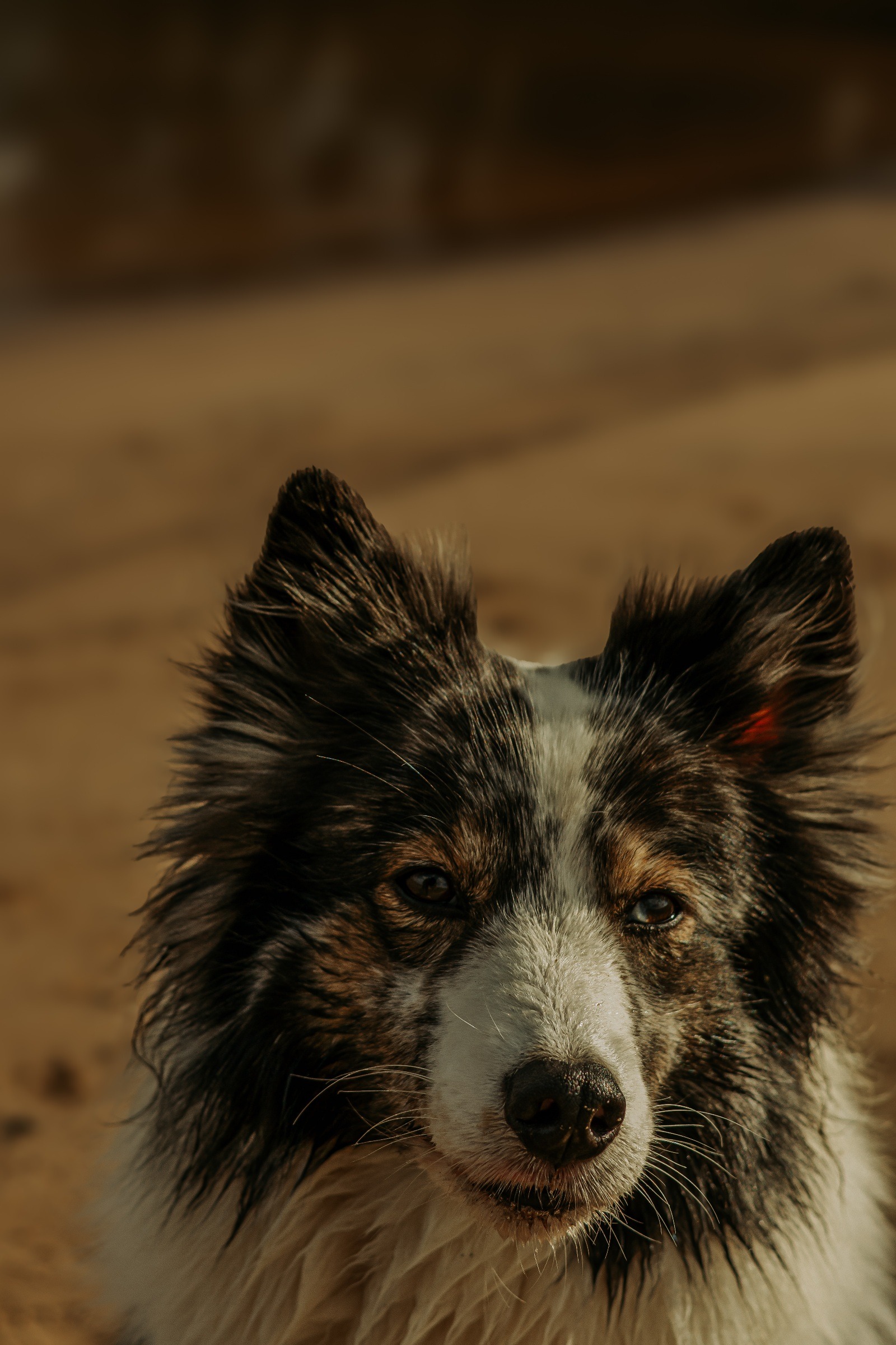 Plötzlich Wohnwagenbesitzer in 3, 2, – und der Campingwahnsinn startet 17 1000024393