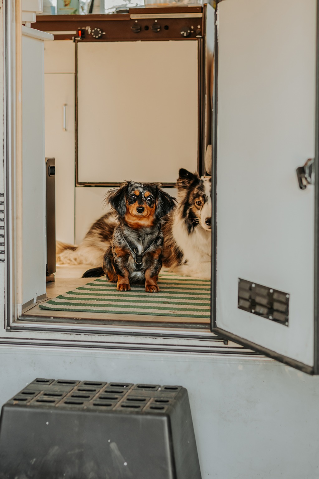 Plötzlich Wohnwagenbesitzer in 3, 2, – und der Campingwahnsinn startet 9 IMG 0029