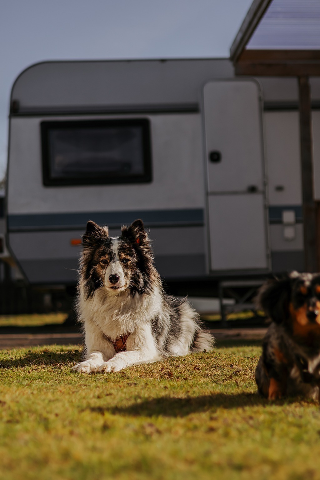 Plötzlich Wohnwagenbesitzer in 3, 2, – und der Campingwahnsinn startet 11 IMG 0045