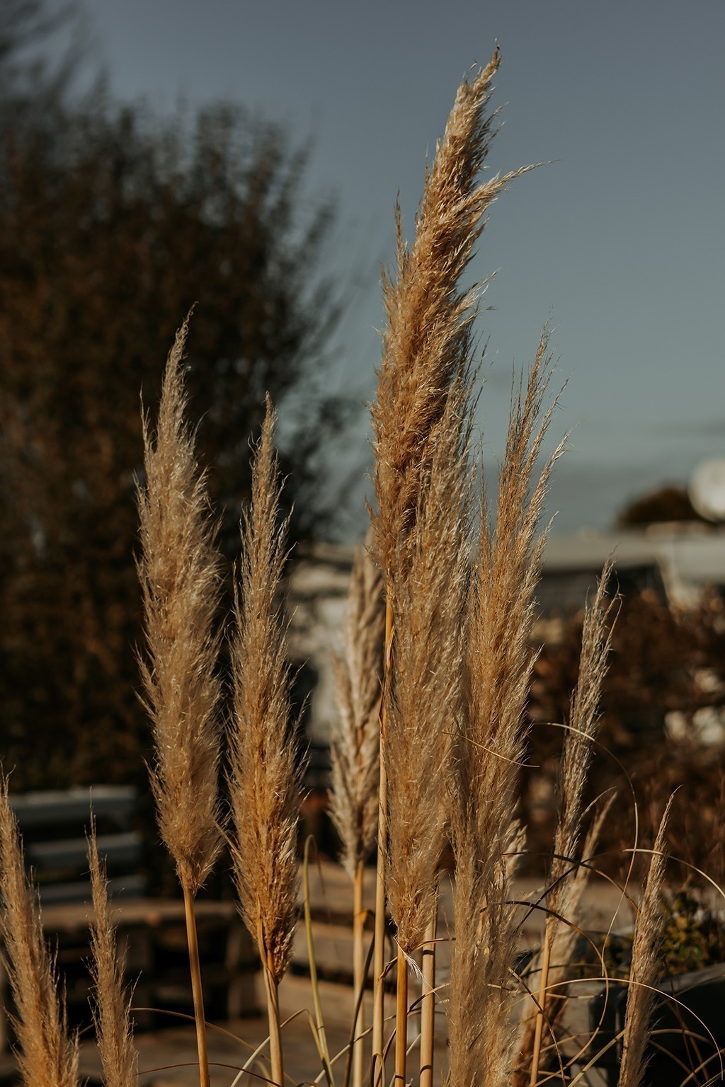 Plötzlich Wohnwagenbesitzer in 3, 2, – und der Campingwahnsinn startet 13 IMG 0095