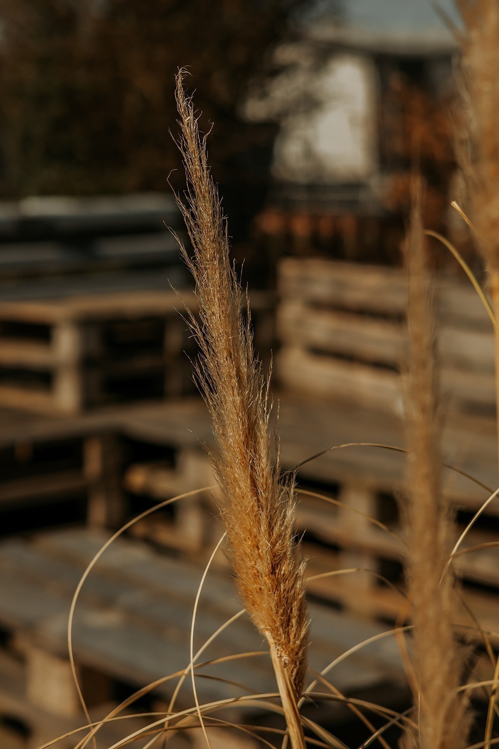 Plötzlich Wohnwagenbesitzer in 3, 2, – und der Campingwahnsinn startet 12 IMG 0096