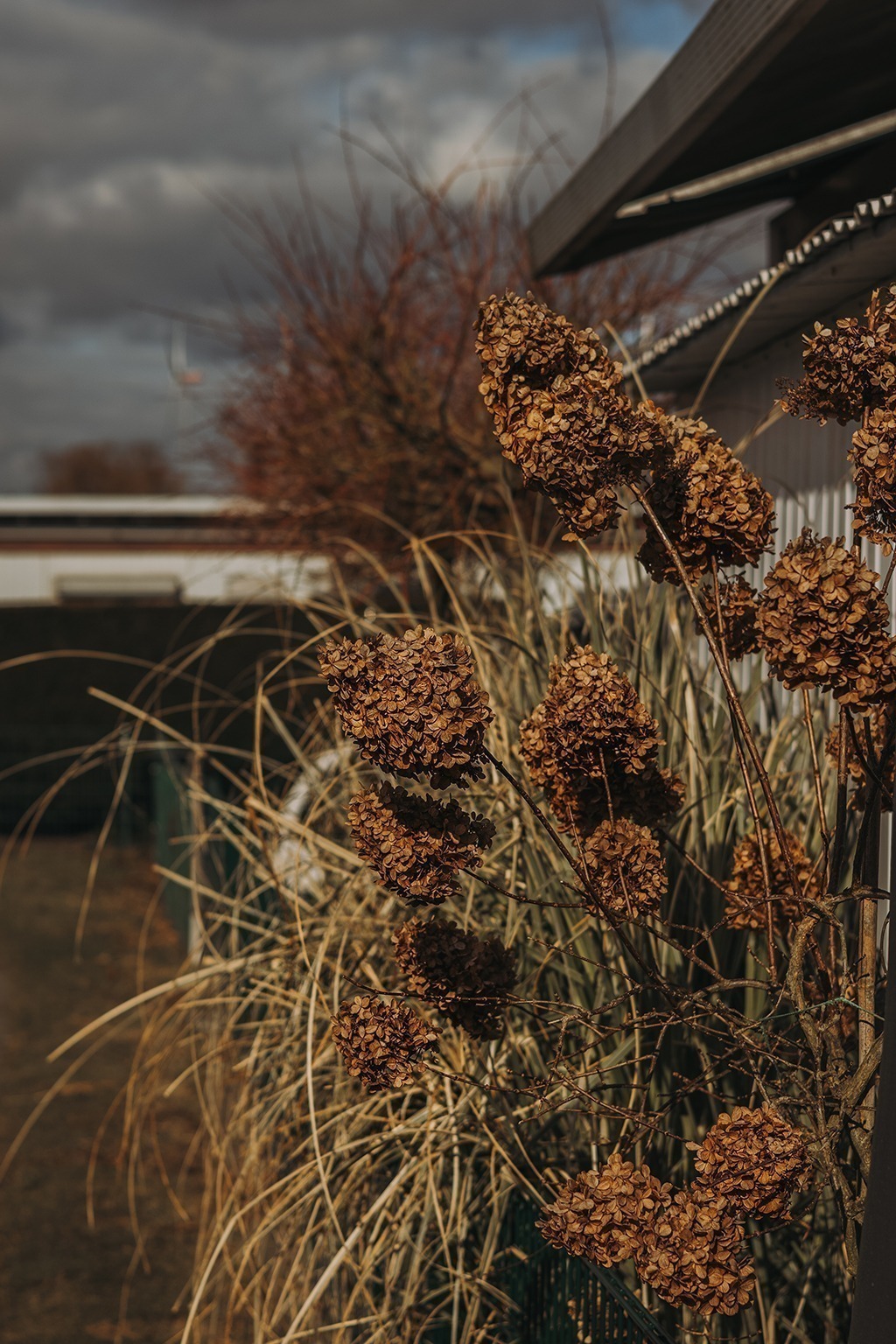 Plötzlich Wohnwagenbesitzer in 3, 2, – und der Campingwahnsinn startet 16 IMG 0114