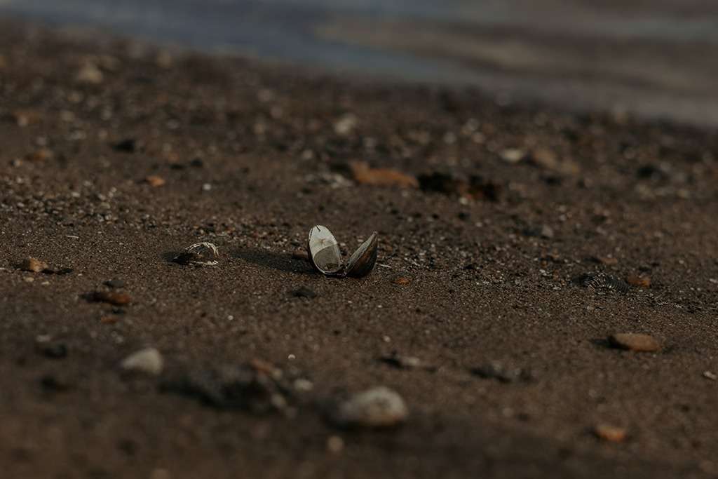 Strandfeeling an der Weser 🐚