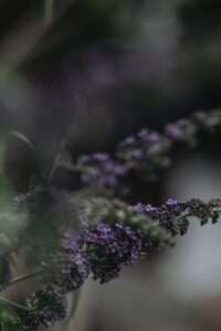 Zuckerfrei – Woche 3: Der Kopf wird klar, die Laune nicht immer 3 IMG 0634