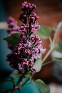 30 Tage ohne Zucker: Finalrunde mit Sprudel und Stolz 2 IMG 6115