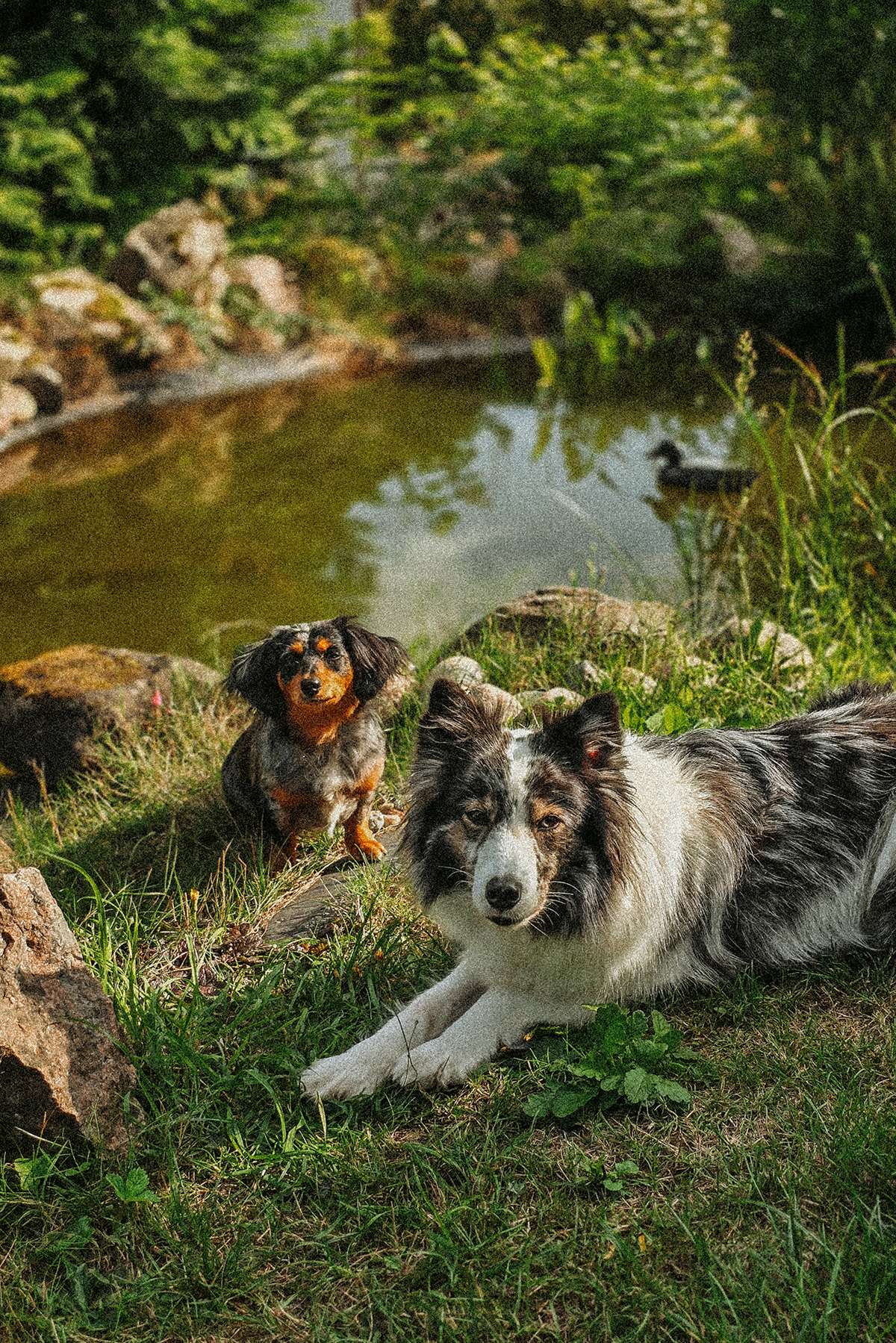 Long time no see - Selbstzweifel sind wieder laut 5 20250726 173743