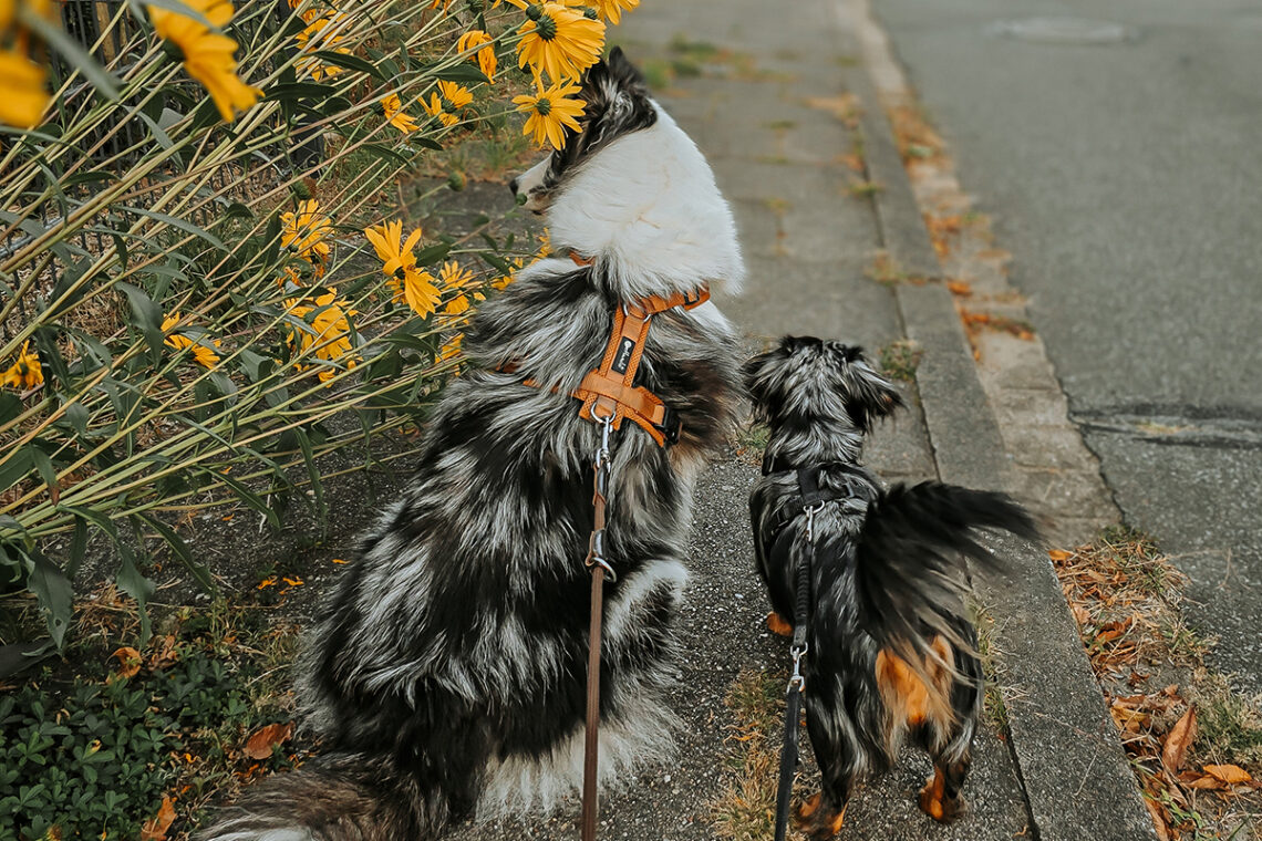 20250906 190142 e1763370315504